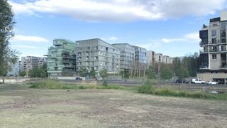 Le prochain congrès d’Hortis, qui rassemble les gestionnaires d’espaces nature en ville, portera sur la gestion des espaces interstitiels. ©P. Fayolle